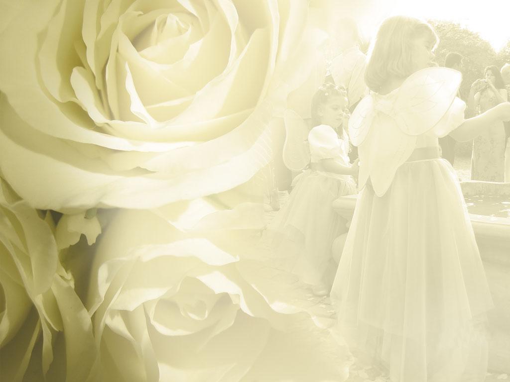 1024x768 Free Download Wedding Flower Background And Wallpaper Background Video Download HD Wallpaper
