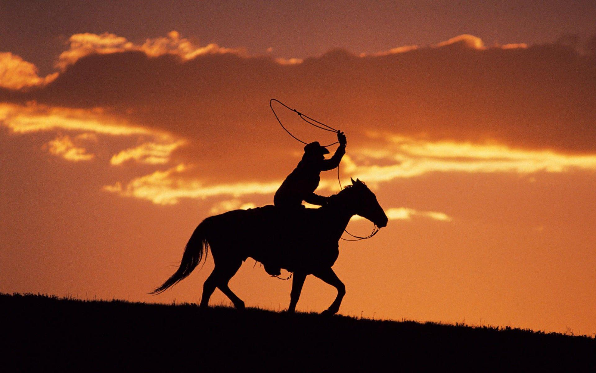 1920x1200 Horses Cowboy Horse Silhouette Sunset Rope Evening Equestrian