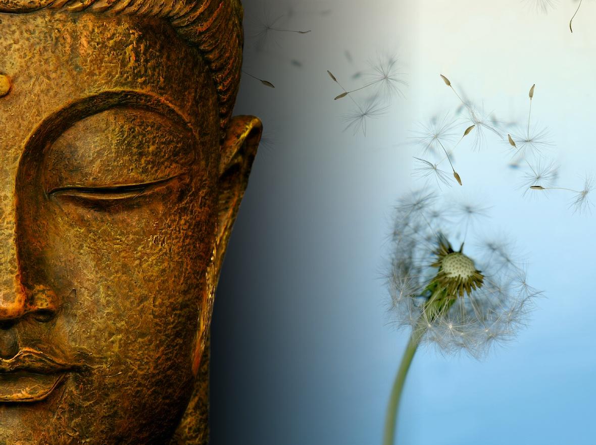 1180x882 Free download Zen Buddha Tranquility Art Inspiration Buddha Zen Zen Art Yoga [1180x882] for your Desktop, Mobile & Tablet. Explore Yoga Zen Wallpaper. Yoga Zen Wallpaper, Zen Wallpaper, Yoga Poses Wallpaper