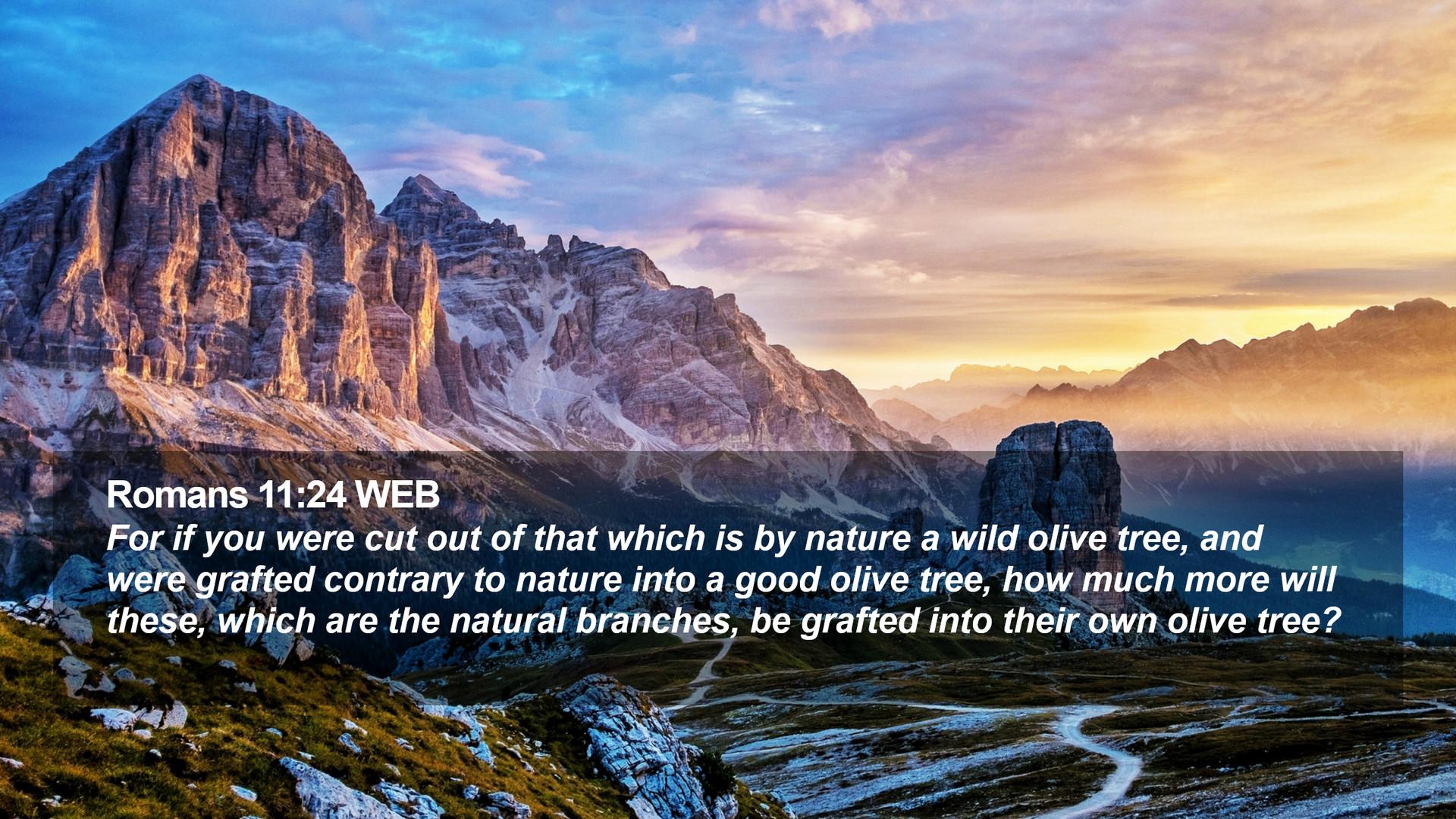 1920x1080 Romans 11:24 WEB Desktop Wallpaper if you were cut out of that which is by