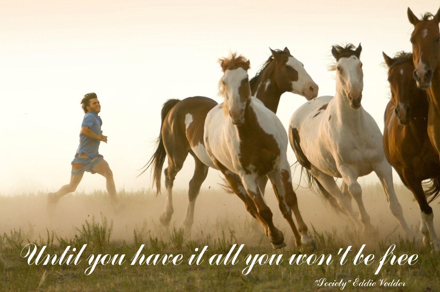 1512x1005 Until you have it all you won't be free Lyrics to Society by Eddie Vedder. Wild horses, Animals, Horses