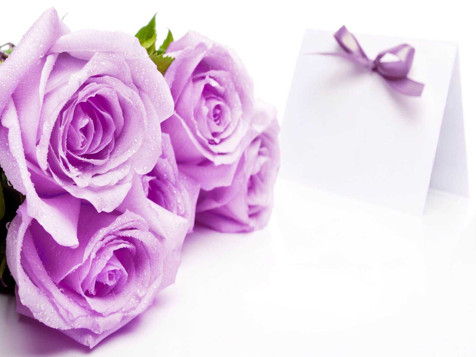 1600x1200 Download Roses Flowers Wallpaper Gallery