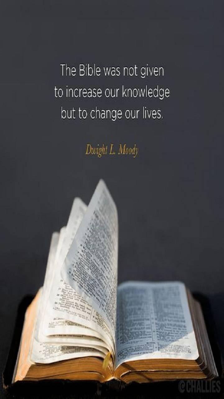 720x1280 Bible Quote wallpaper
