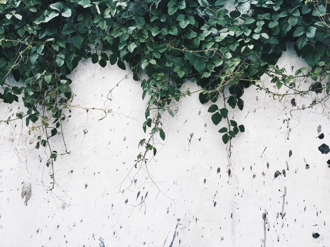 1280x960 aesthetic laptop background tumblr