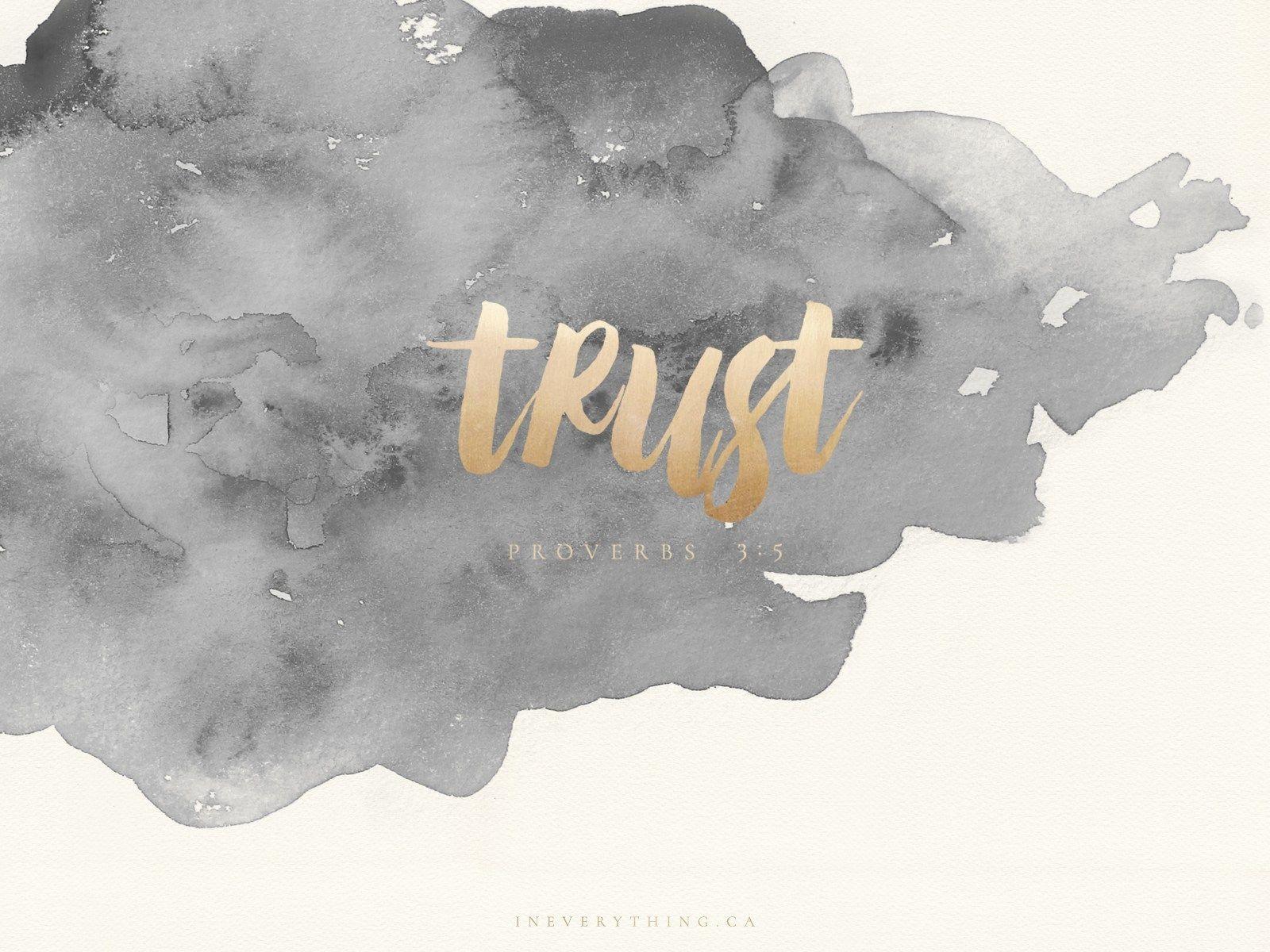 1600x1200 mac wallpaper tumblr, illustration, font, plant, graphics, art