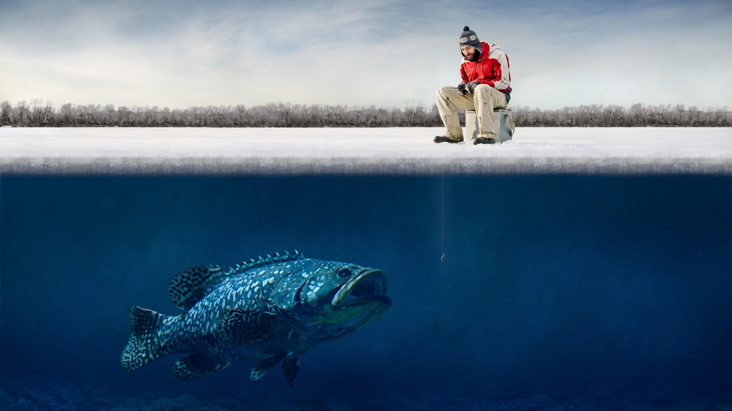 2560x1440 Funny Guy Ice Big Fish Hooks Humor Fisherman Winter Fishing Wallpaper Full HD Desktop Image Amazing Colourful 4k Quality Image Colours Artwork 2560x1440. Full HD Wallpaper