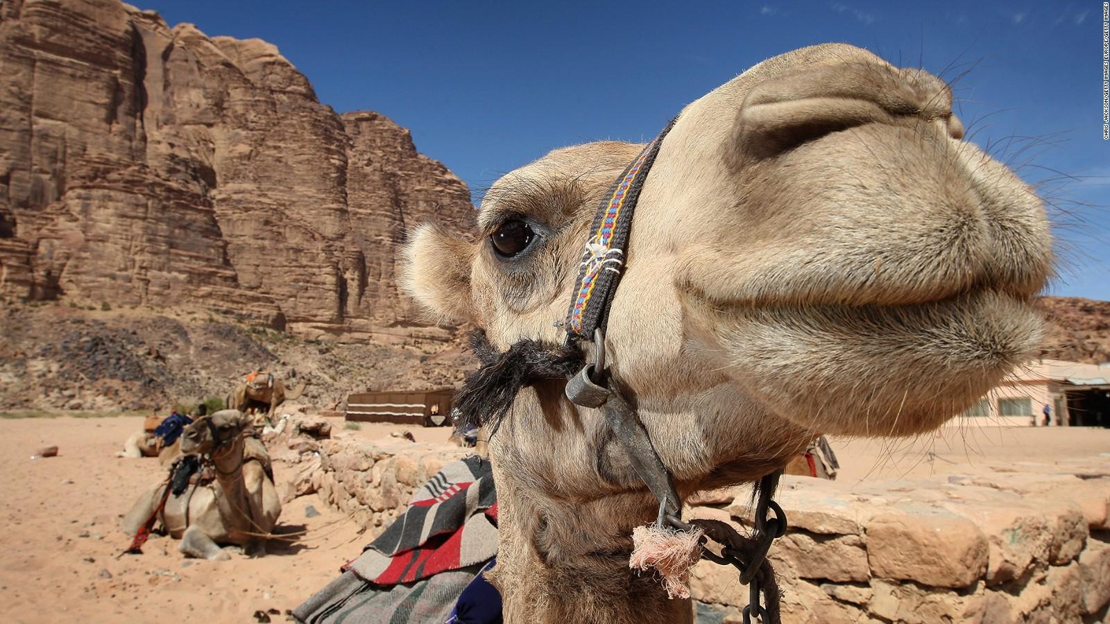 1600x900 Can Jordan's 'Indiana Jones' city of Petra survive?