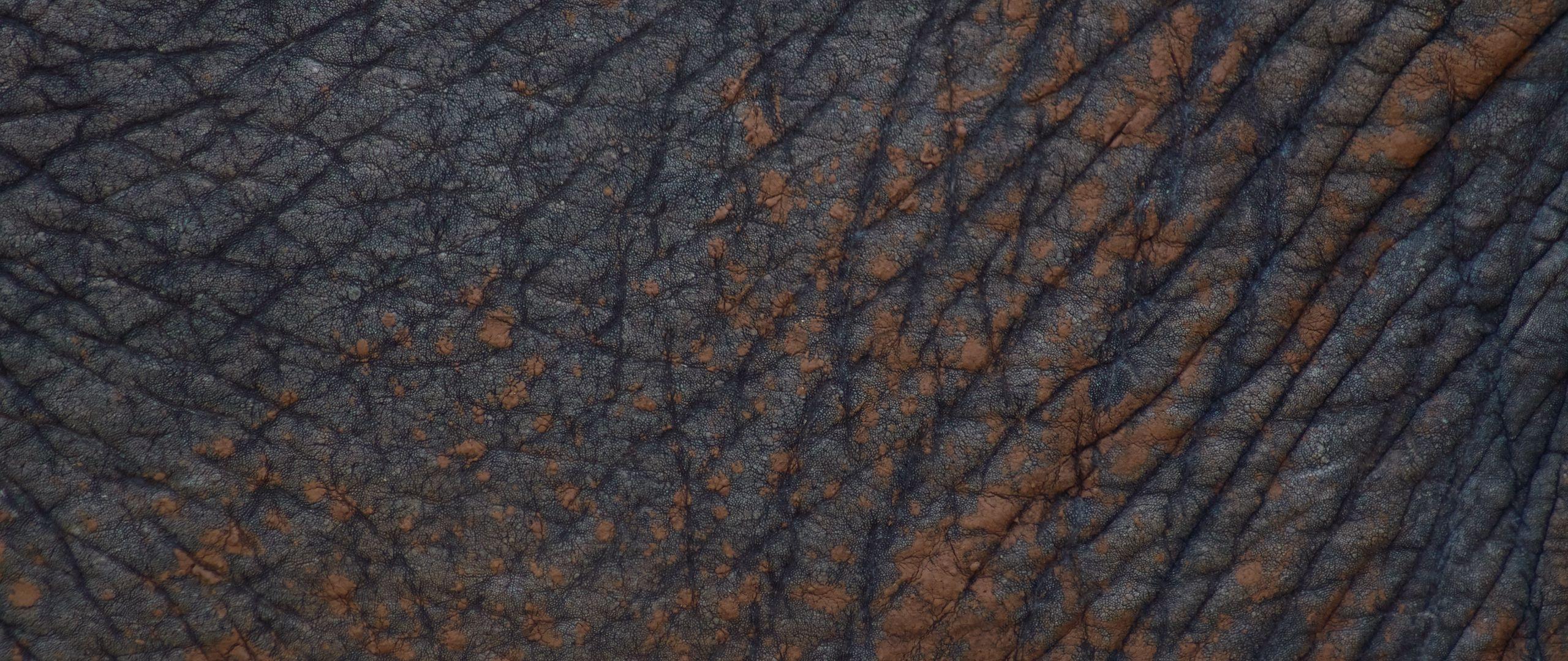 2560x1080 Download wallpaper 2560x1080 leather, texture, folds, gray dual wide 1080p HD background