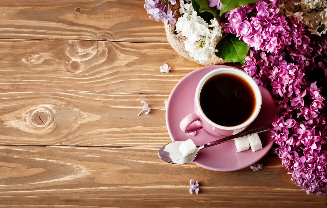 Spring Coffee Wallpapers Top Free Spring Coffee Backgrounds