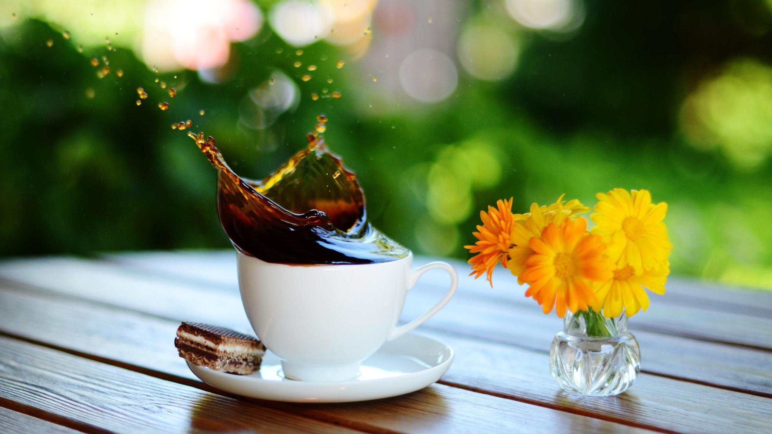 2560x1440 Coffee Wallpaper
