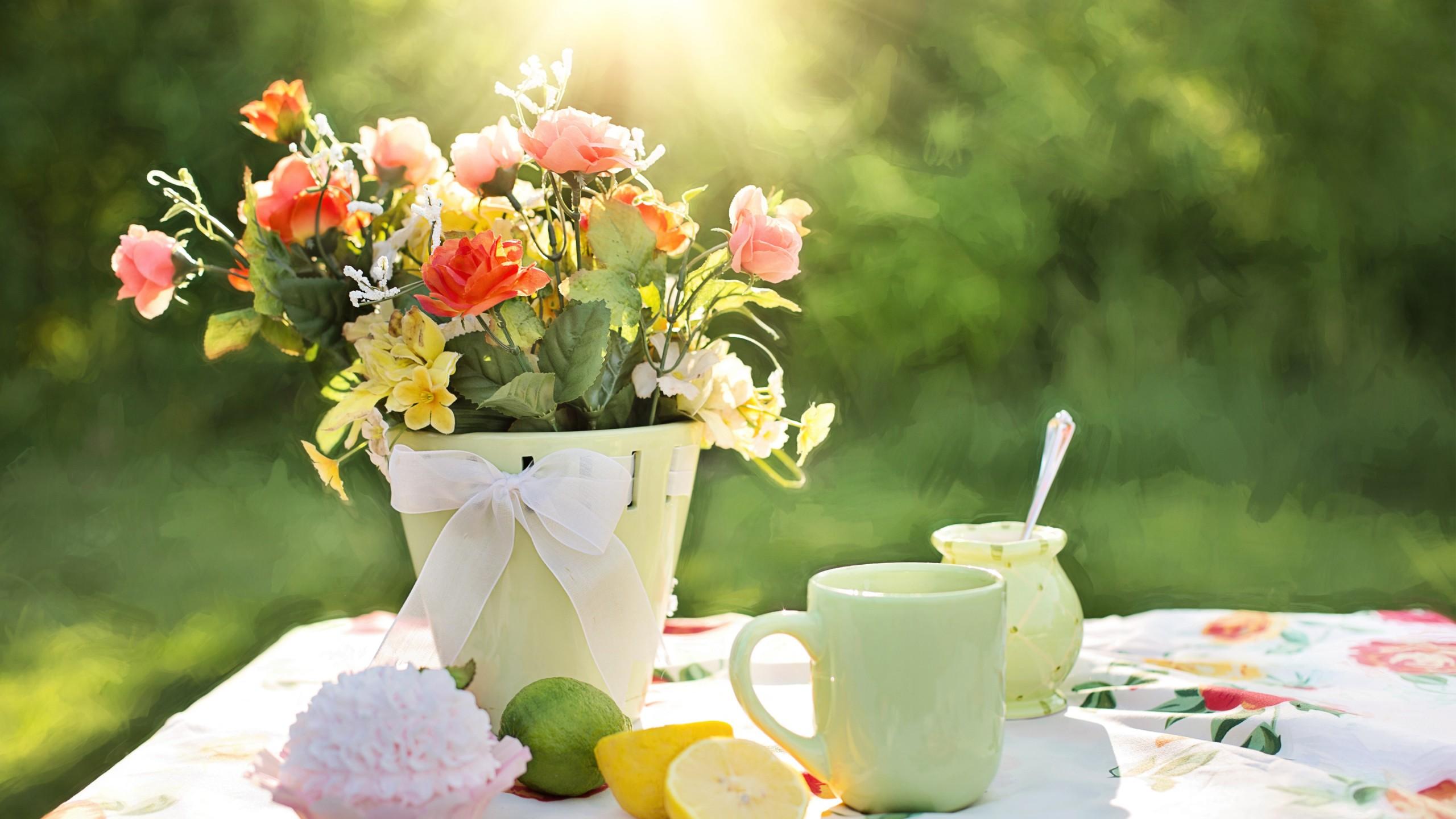 2560x1440 Wallpaper Spring flowers, 4k, HD wallpaper, summer flowers, summer, sun, Nature