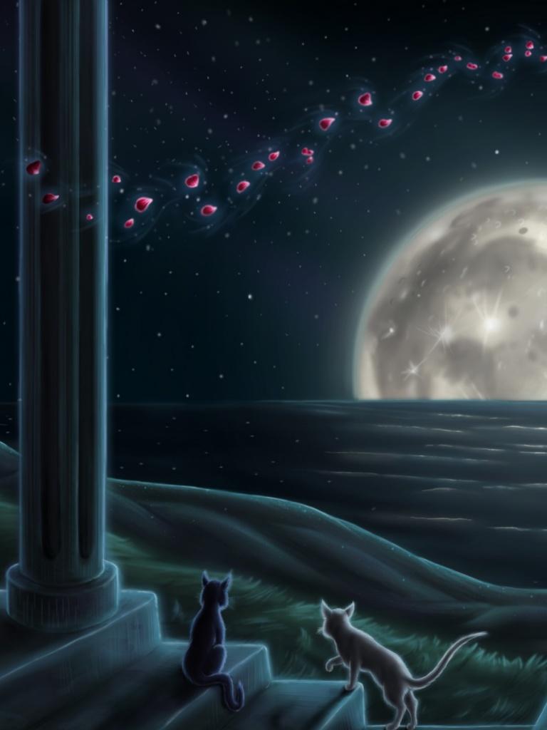 768x1024 Sailor Moon 14 iPad wallpaper