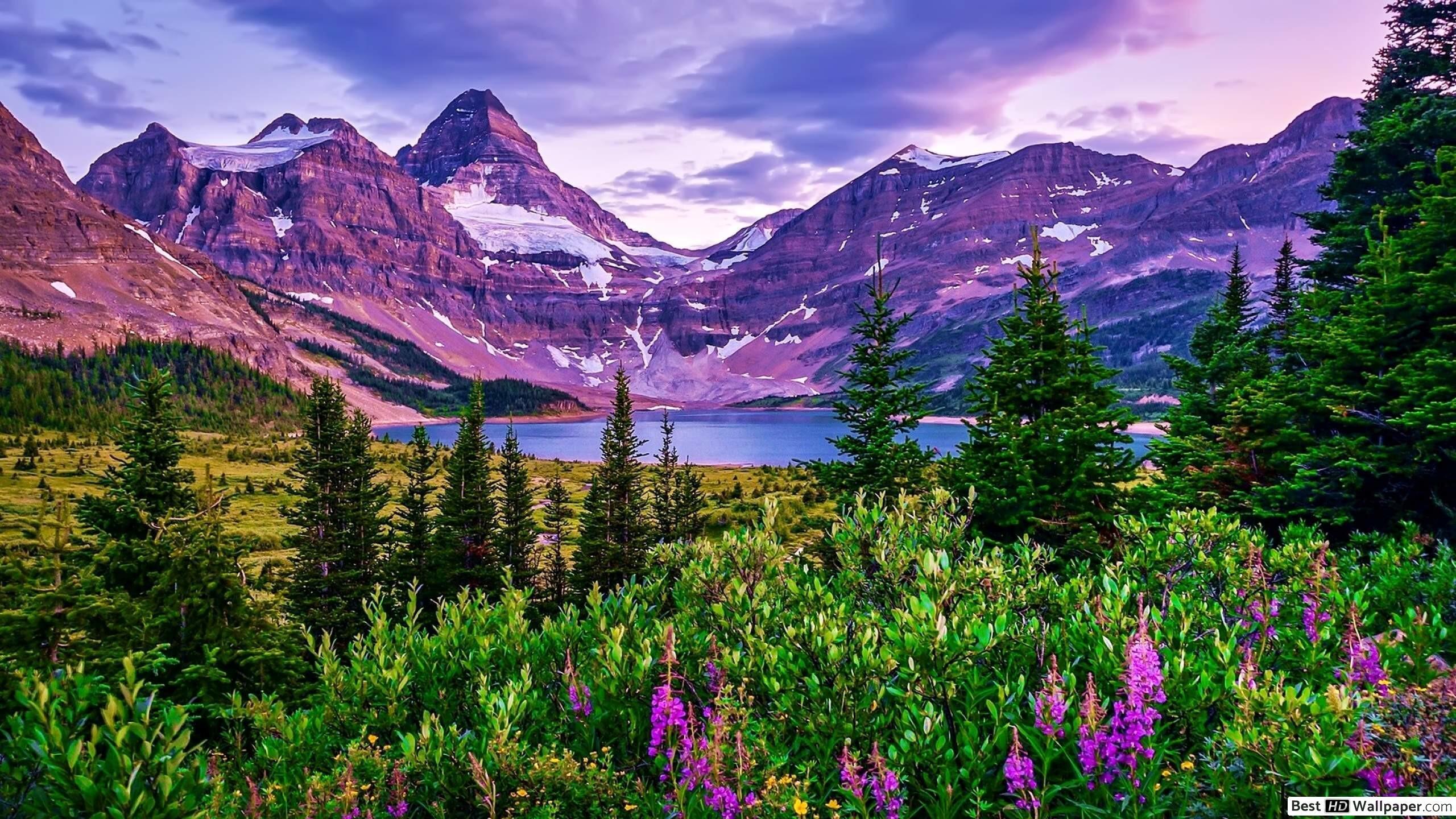 Beautiful Mountain Lake Wallpapers - Top Free Beautiful Mountain Lake ...