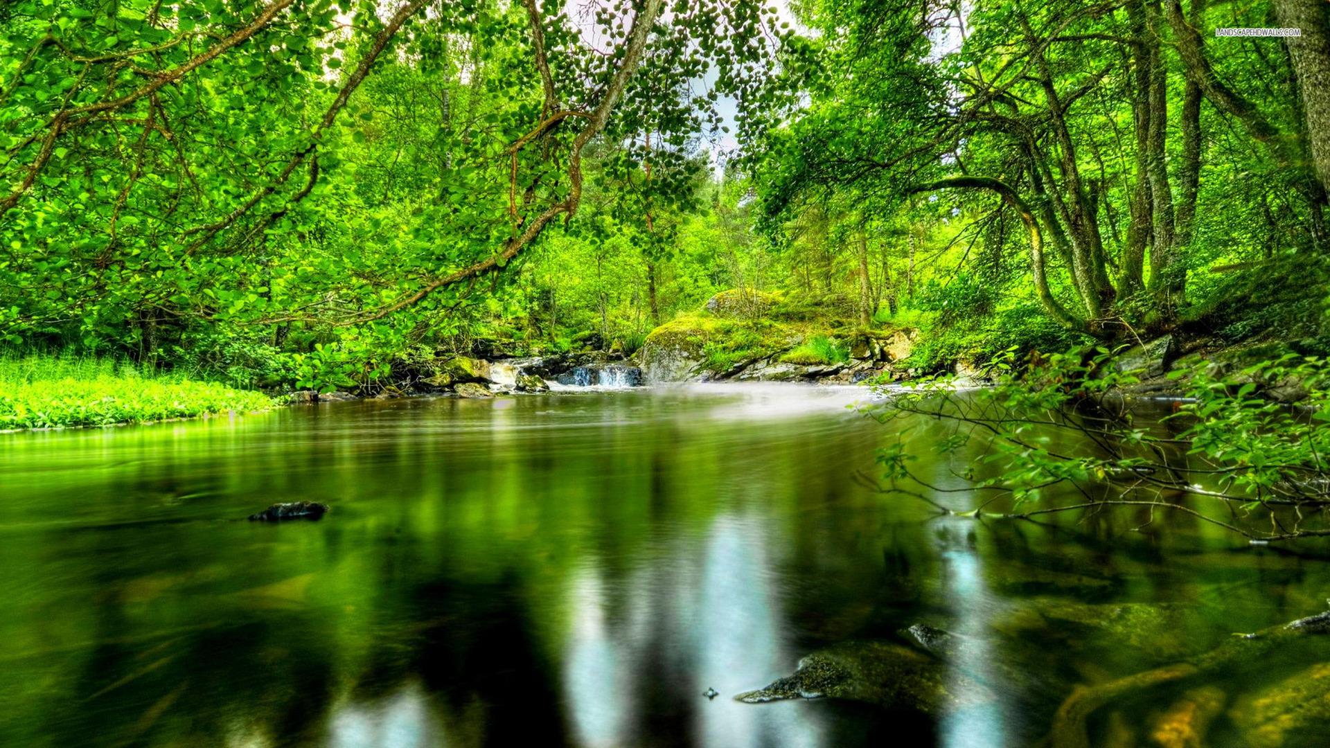 1920x1080 Beautiful Mountain Lake HD Nature Desktop Wallpaper And Forest HD HD Wallpaper
