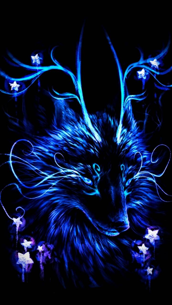 720x1280 Night fox wallpaper