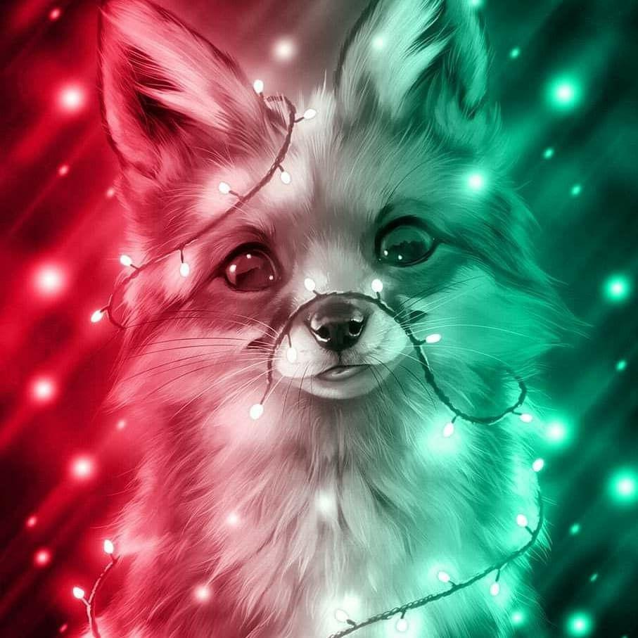 907x907 Cute fox. Cute cartoon animals, Cute animal drawings, Baby wolves