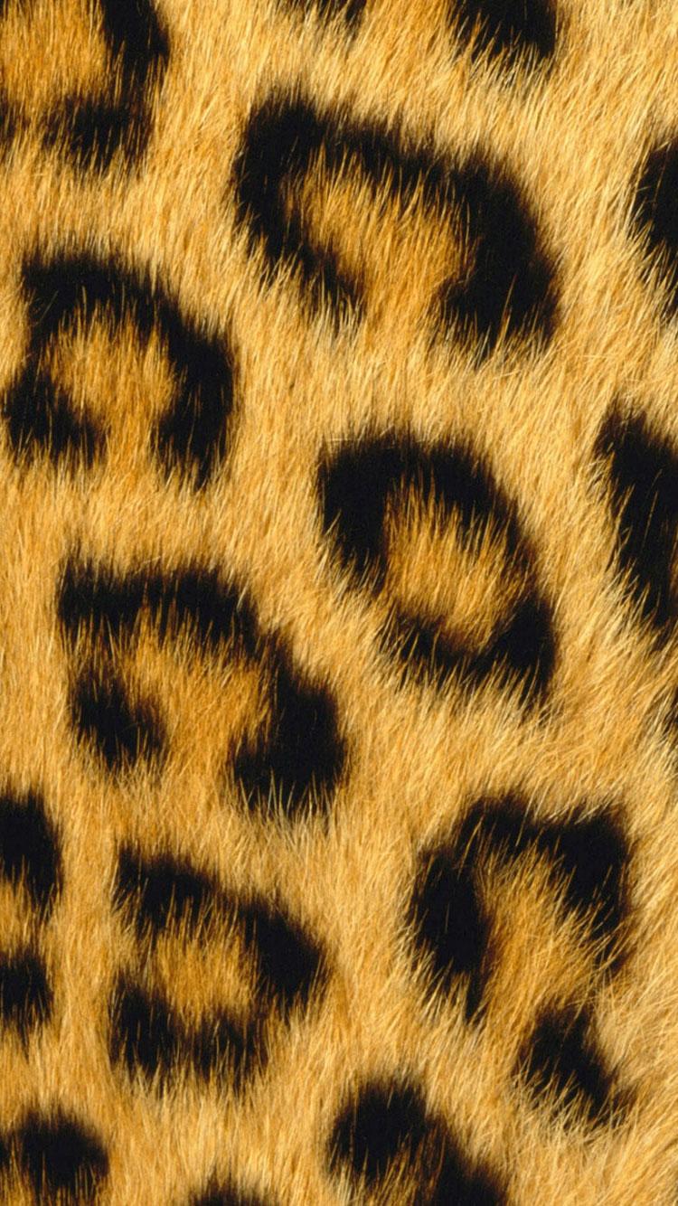 750x1334 Download Leopard Print iPhone Wallpaper Gallery