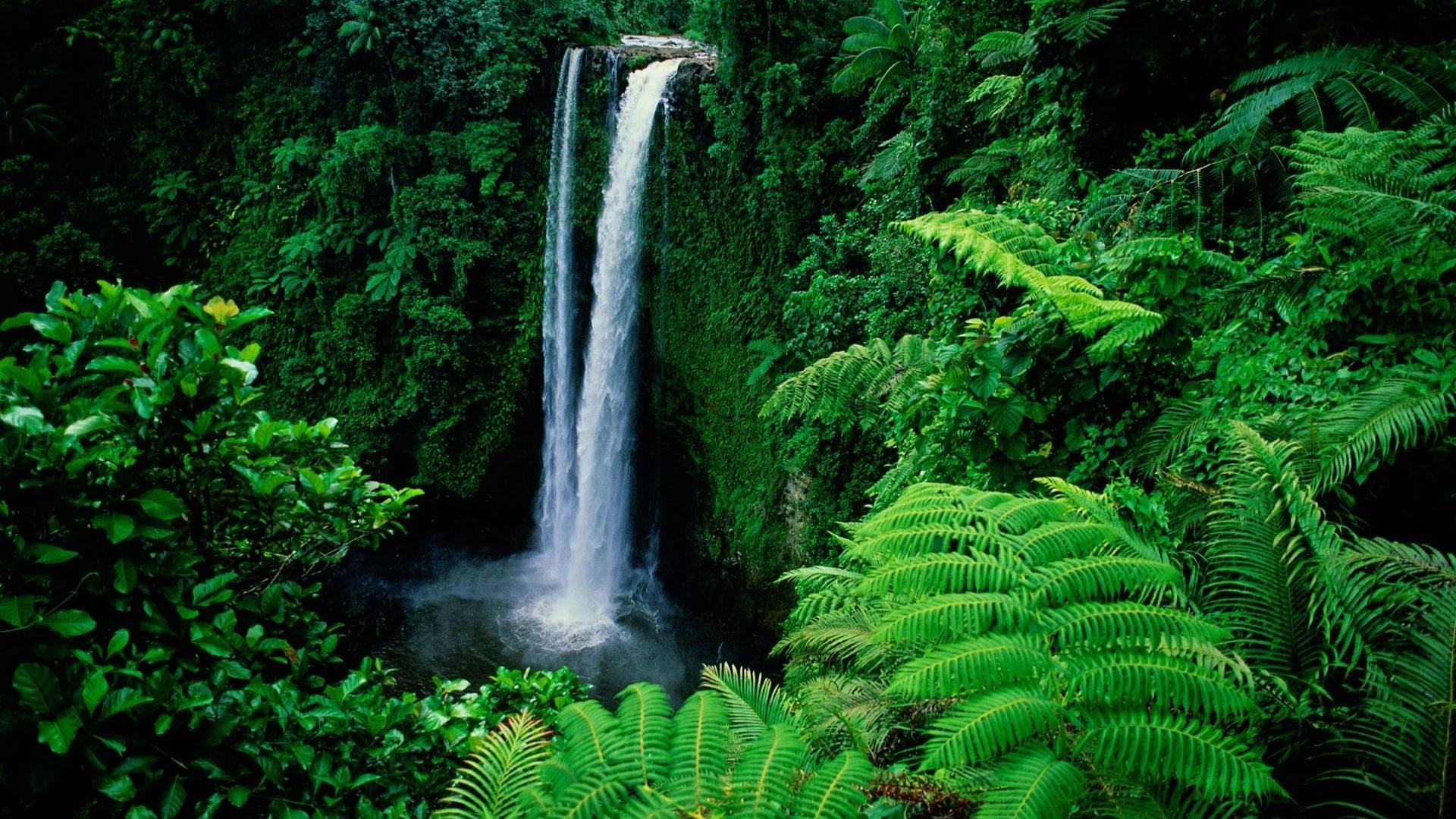 1920x1080 of Waterfall 4K wallpaper for your desktop or mobile screen