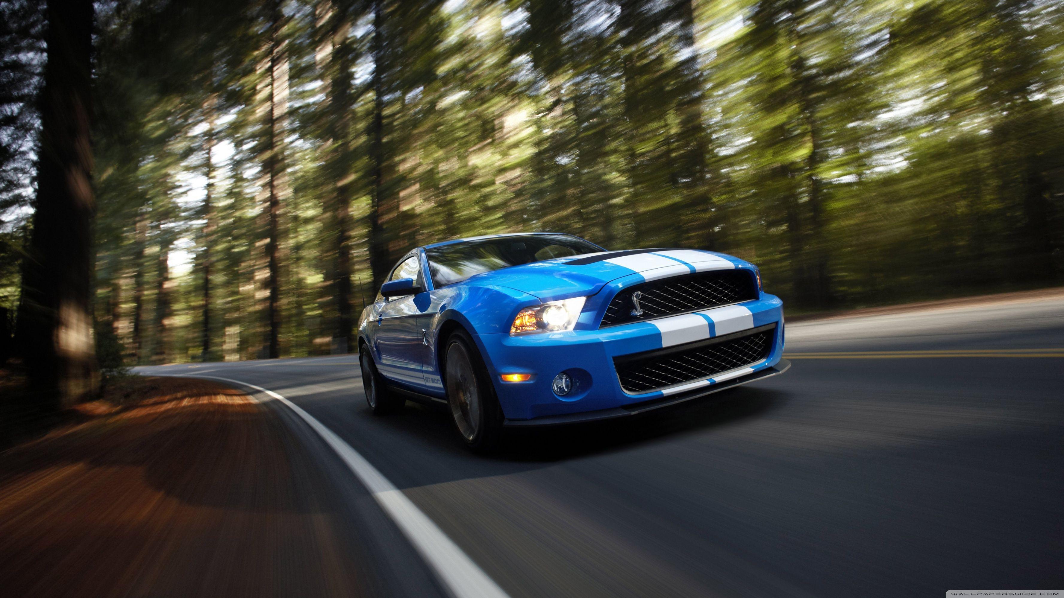 3554x1999 Shelby Wallpaper