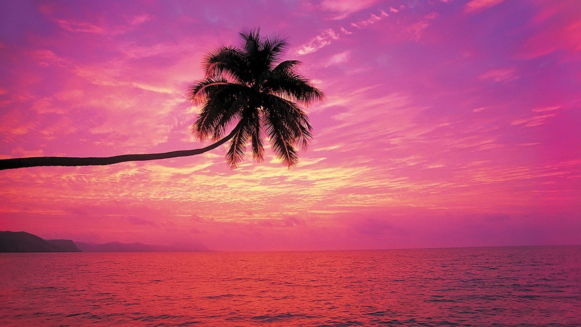 1920x1080 Pink Sunset Desktop Wallpaper HD