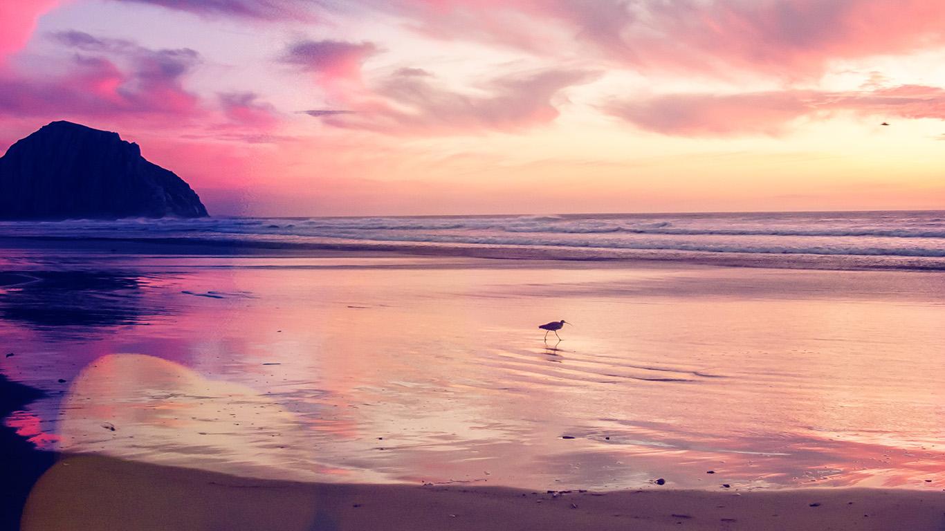 1366x768 Pink Beach Sunset Wallpaper