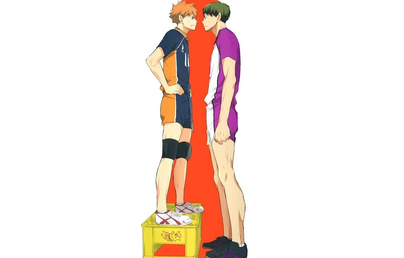 1332x850 Wallpaper guys, box, Volleyball, Haikyuu, Hinata, , Ushijima Of Takatoshi image for desktop, section сёнэн