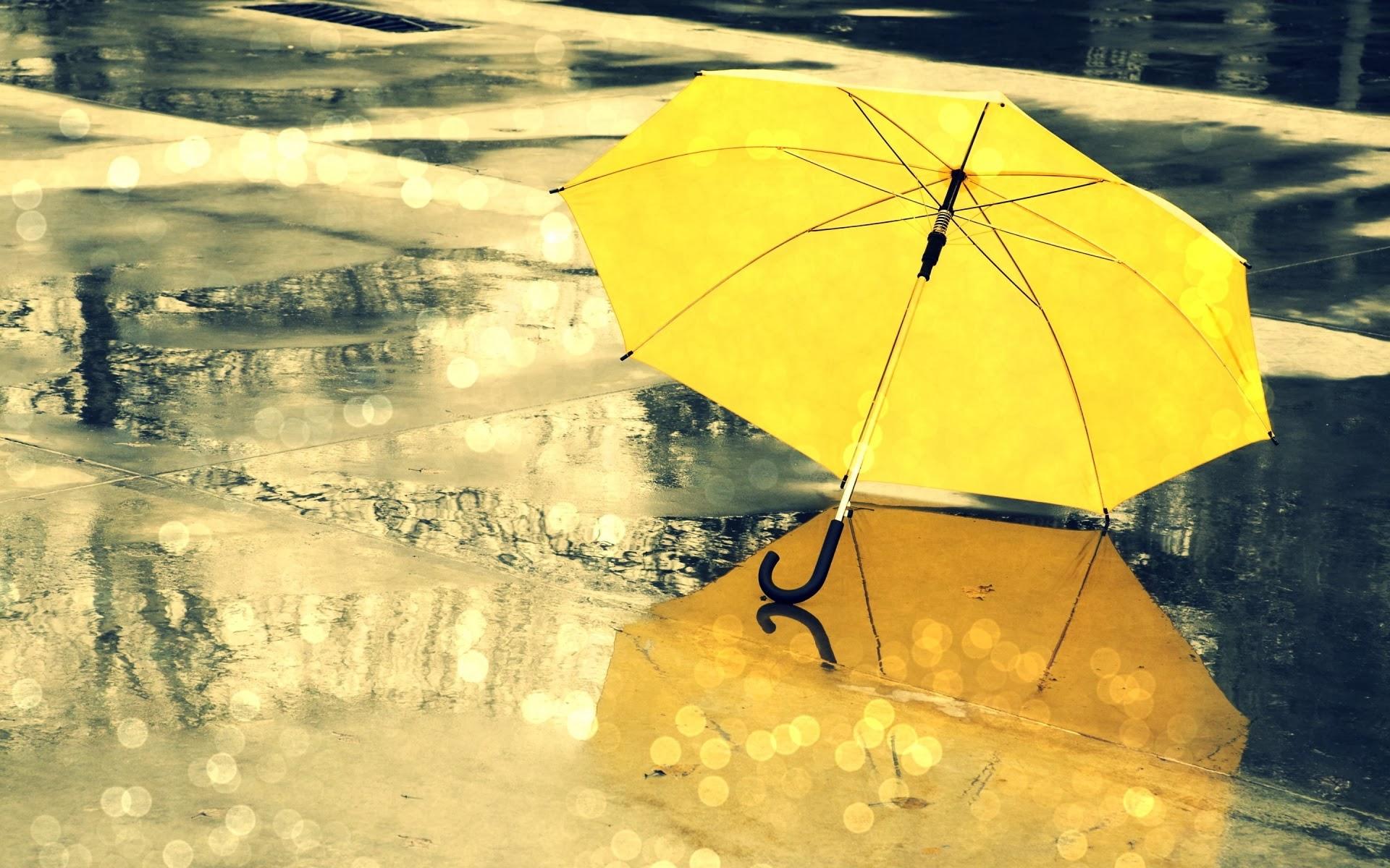 1920x1200 Yellow Umbrella Rain On A Rainy Day HD Wallpaper