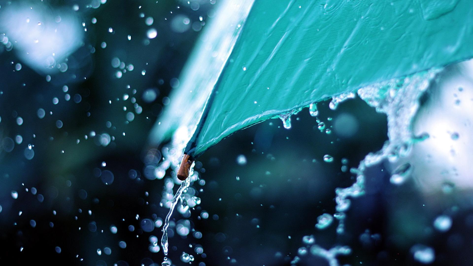 1920x1080 Drop, Rain, Umbrella HD Wallpaper & Background • 30419 • Wallur