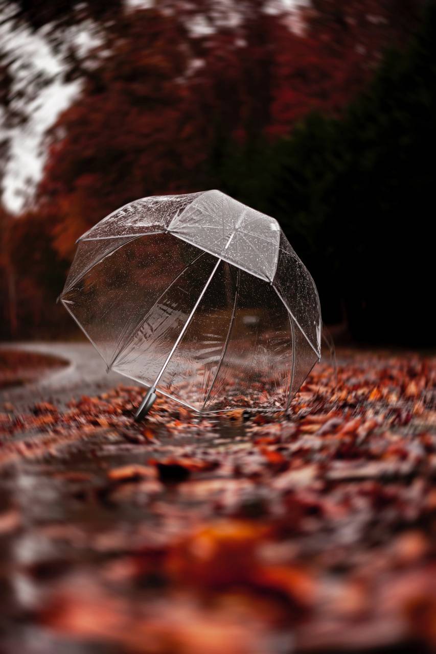 Rainy Umbrella Wallpapers - Top Free Rainy Umbrella Backgrounds