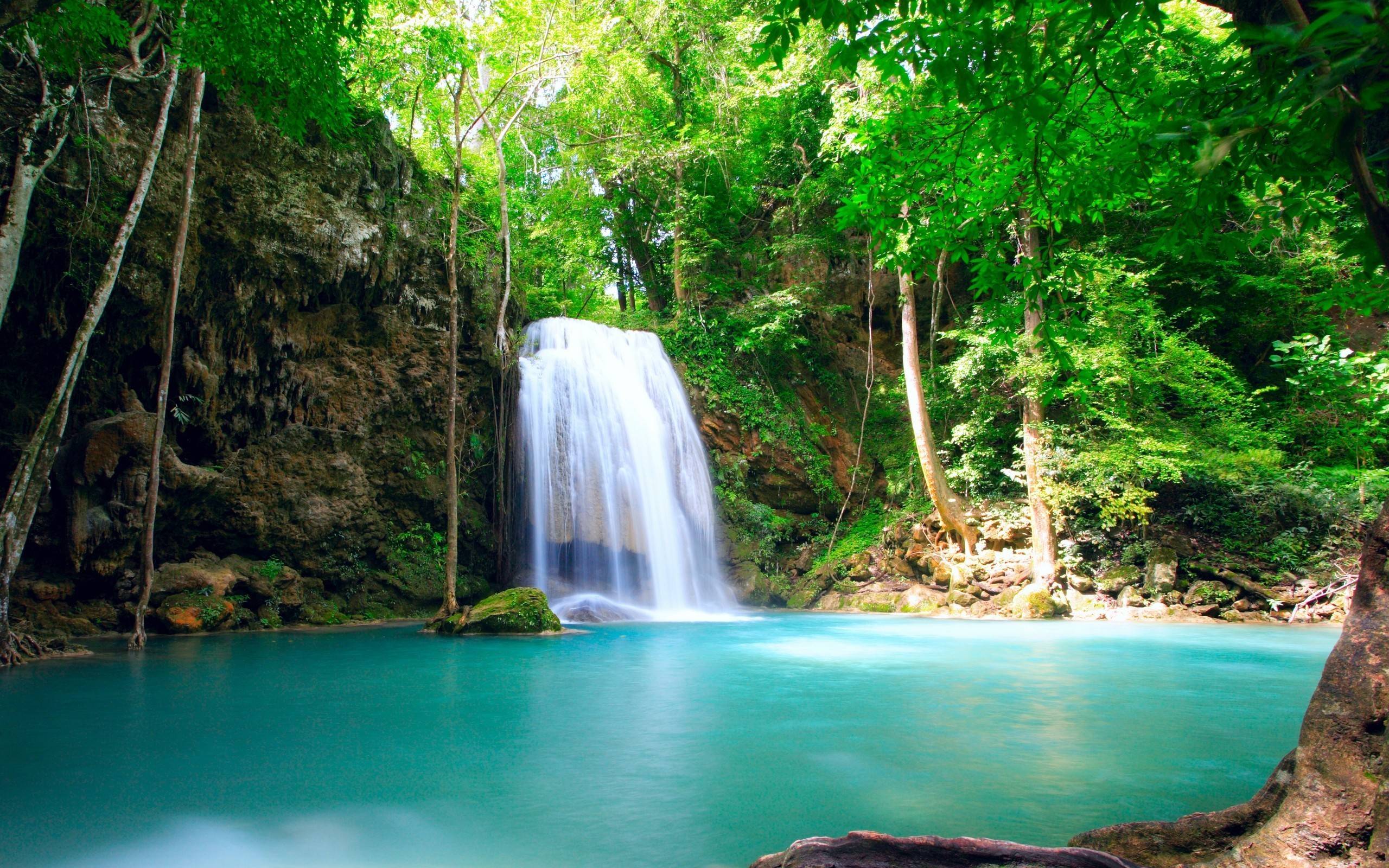 2560x1600 Beautiful Tropical Rain forest Wallpaper [2560 × 1600]