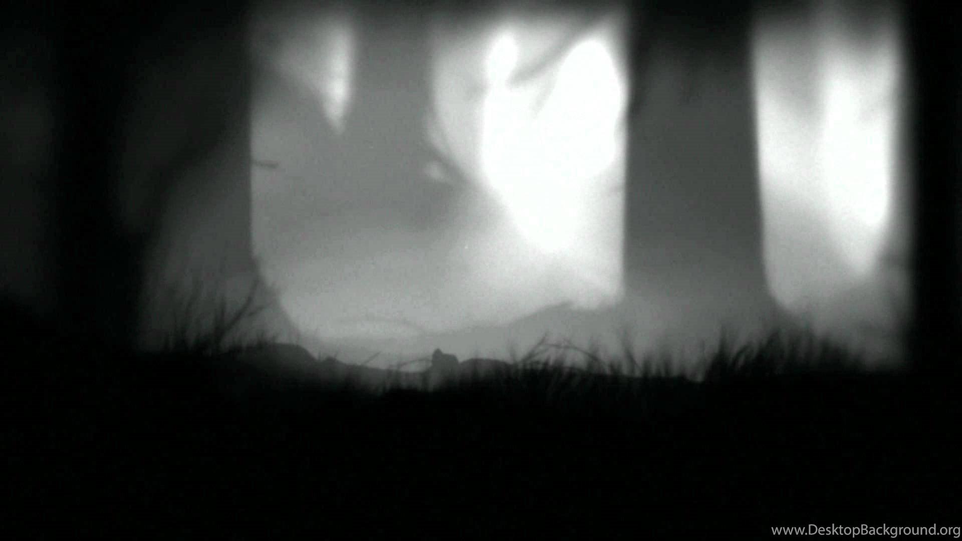 1920x1080 DreamScene LIMBO (Game) Animated Desktop Background HD 1080p. Desktop Background
