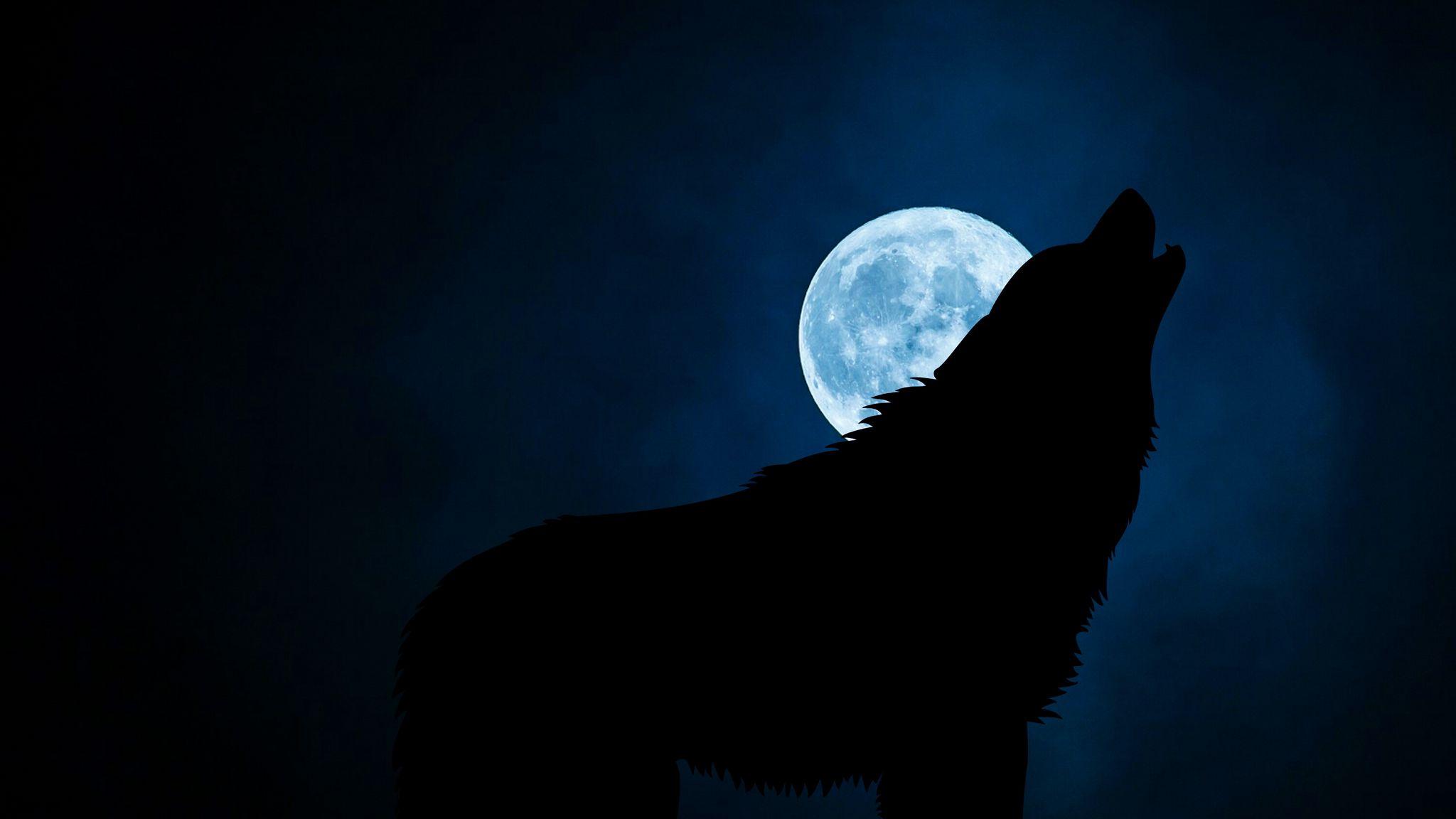 2048x1152 Download wallpaper 2048x1152 wolf, silhouette, moon, night ultrawide monitor HD background