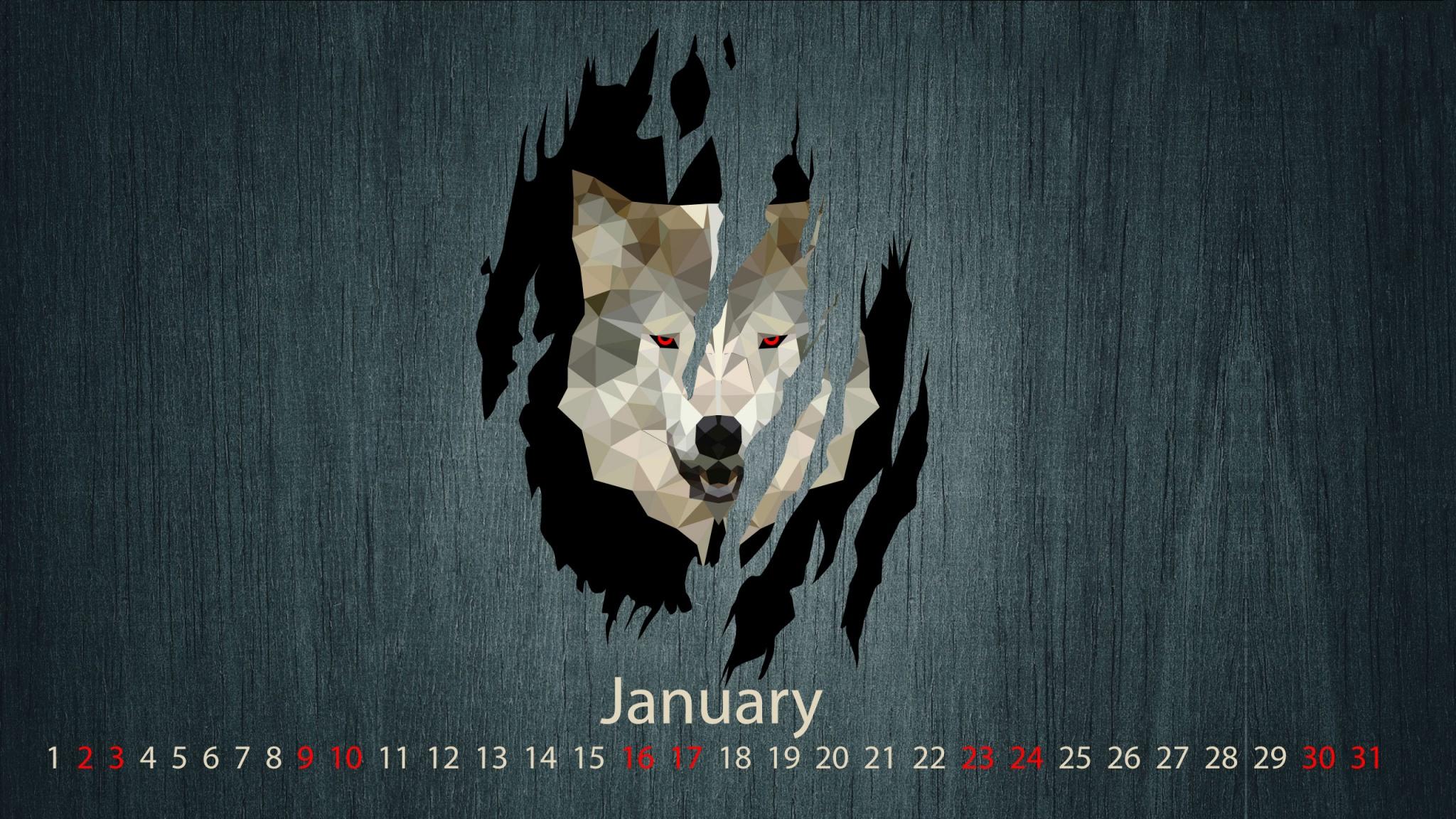 2048x1152 Wolf Month January 2016 Wallpaper