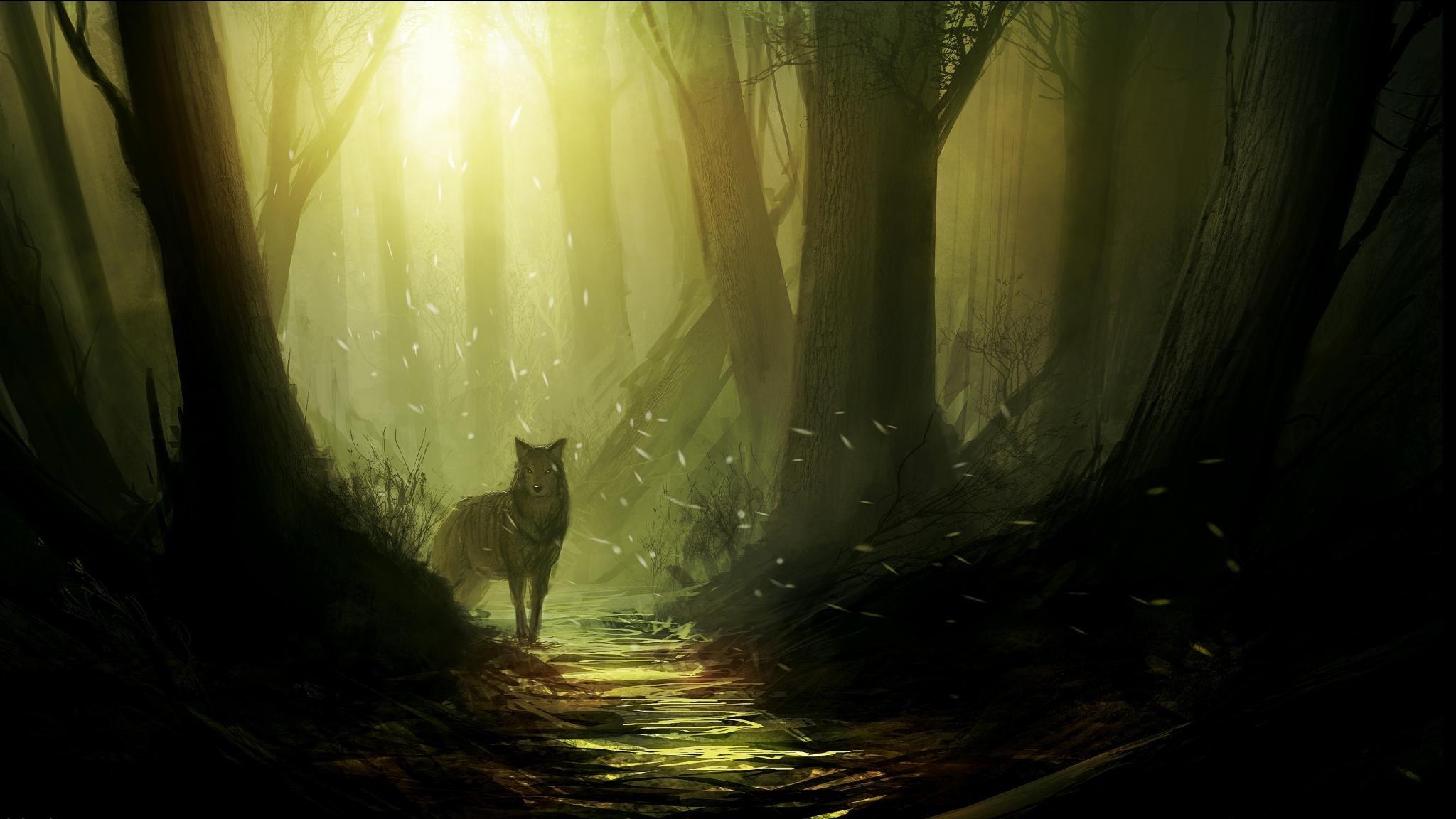 2048x1152 Best Wolf Fantasy background for High Resolution HD 2048x1152 PC