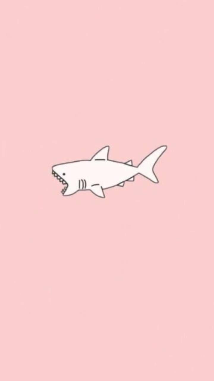 720x1280 Cute Shark Wallpaper, HD Cute Shark Background