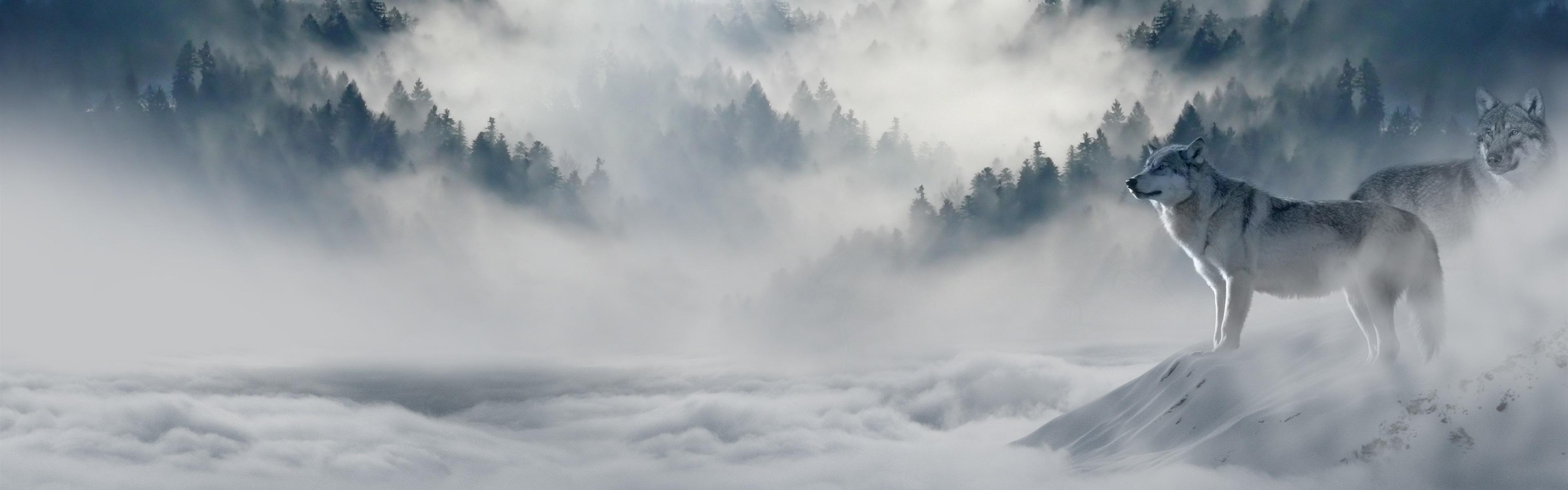 3840x1200 Dual Monitor Wallpaper Wolf Fb Cover HD Wallpaper