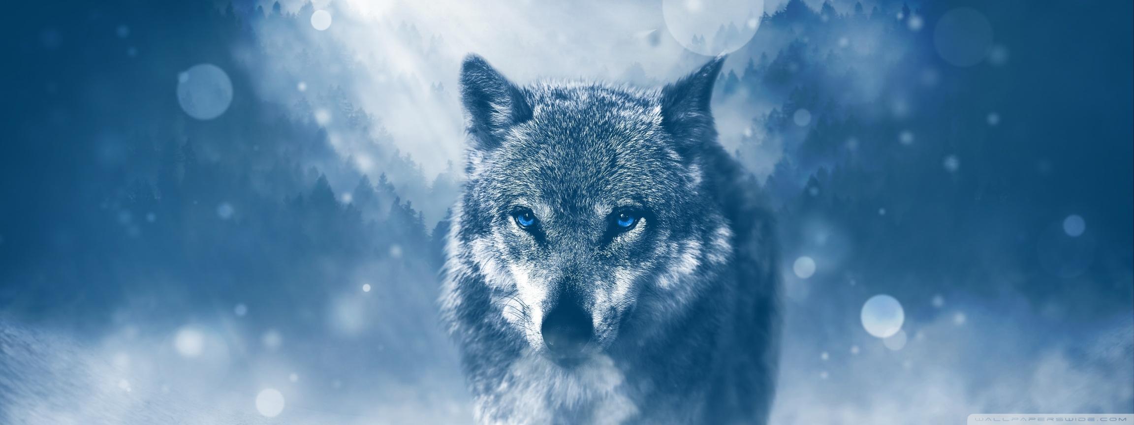 2304x864 Wolf Winter Ultra HD Desktop Background Wallpaper for 4K UHD TV : Widescreen & UltraWide Desktop & Laptop : Multi Display, Dual Monitor : Tablet