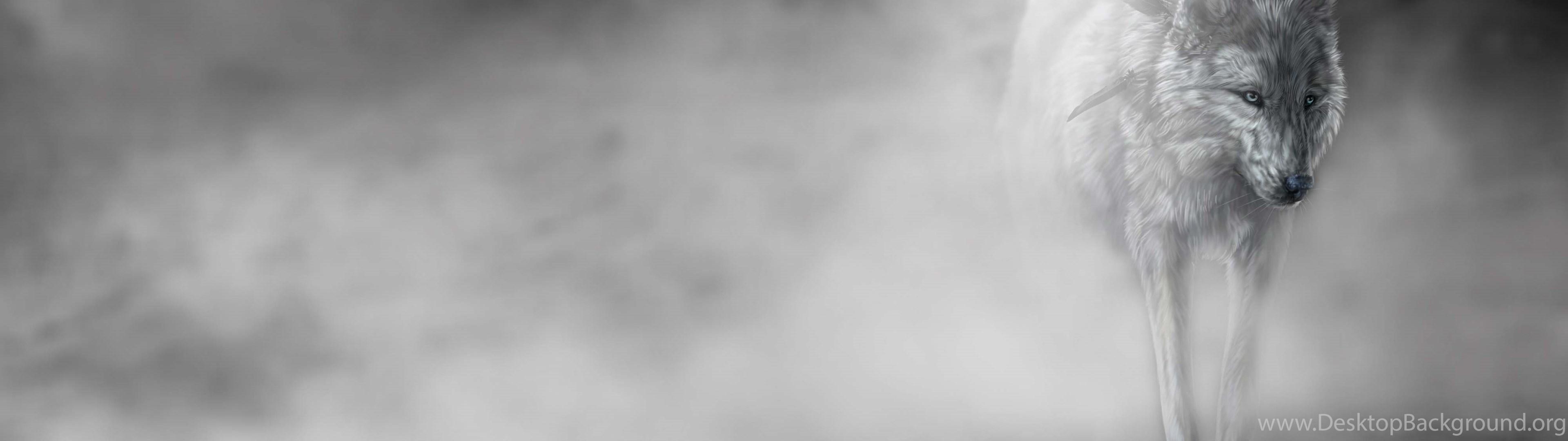 3840x1080 File Name : Best Wolf Wallpaper HD 1603 - Wolf HD Wallpaper Desktop Background