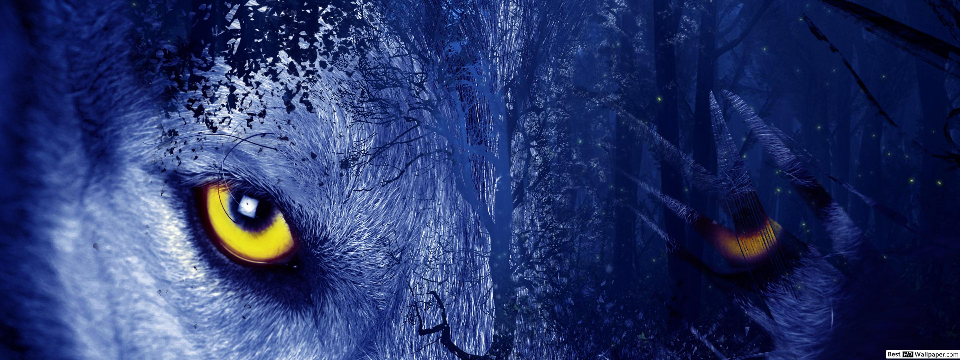 Dual Monitor Wolf Wallpapers - Top Free Dual Monitor Wolf Backgrounds