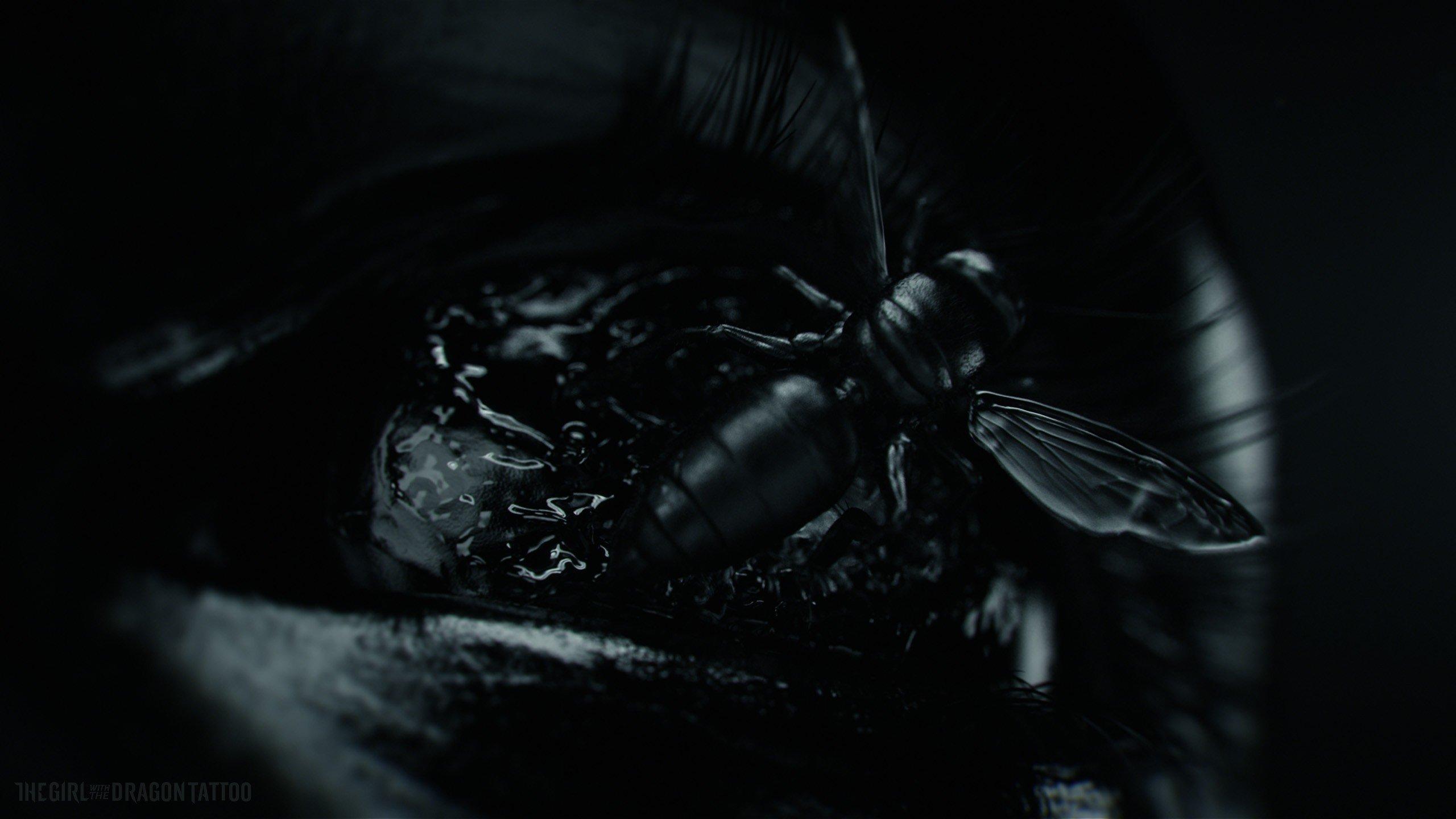 2560x1440 The Girl With The Dragon Tattoo wallpaper HD for desktop background