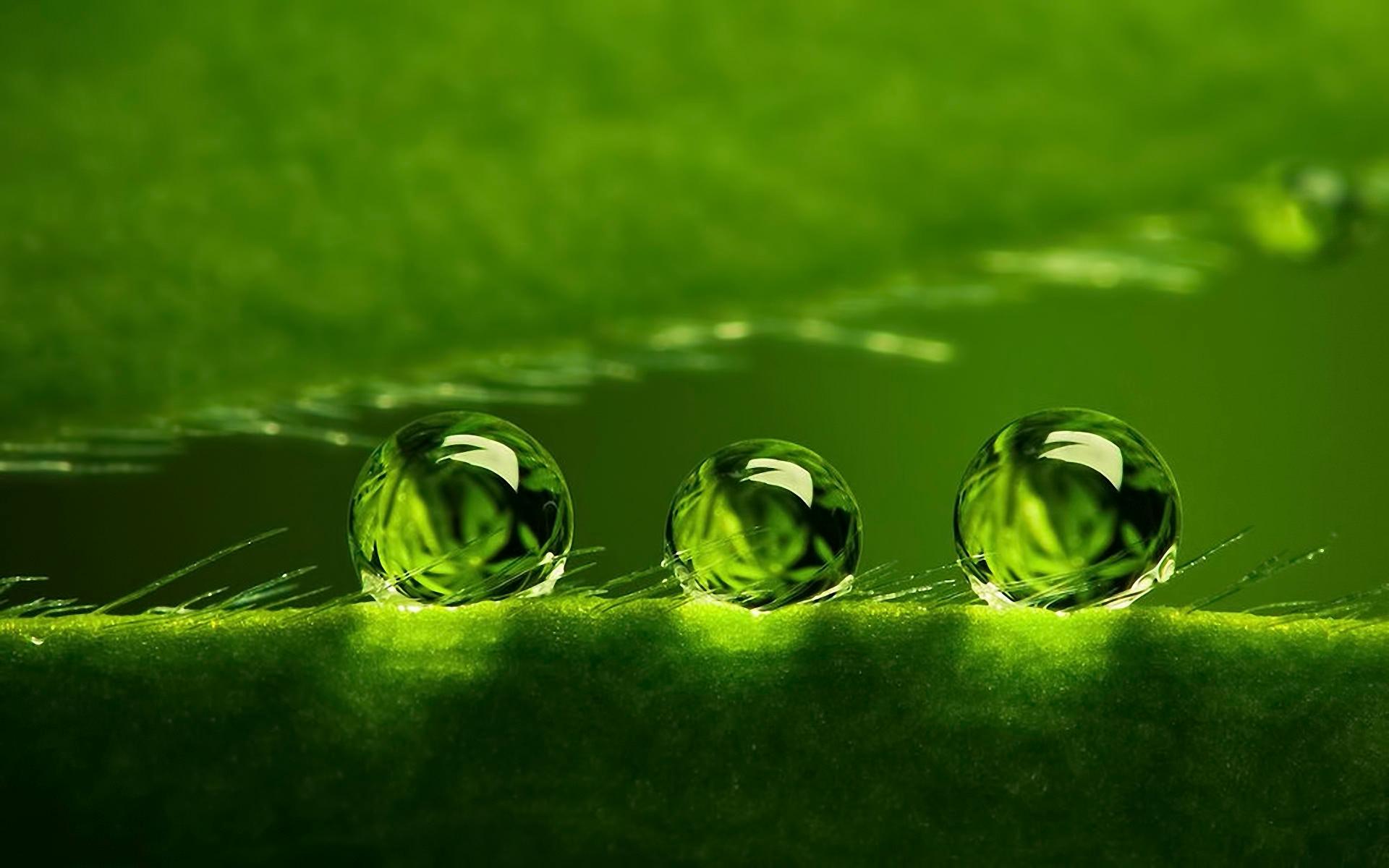 1920x1200 FREE Bubble Desktop Wallpaper in PSD
