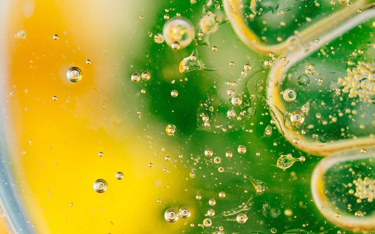 1280x800 Download wallpaper 1280x800 bubbles, gradient, shape, surface, green widescreen 16:10 HD background