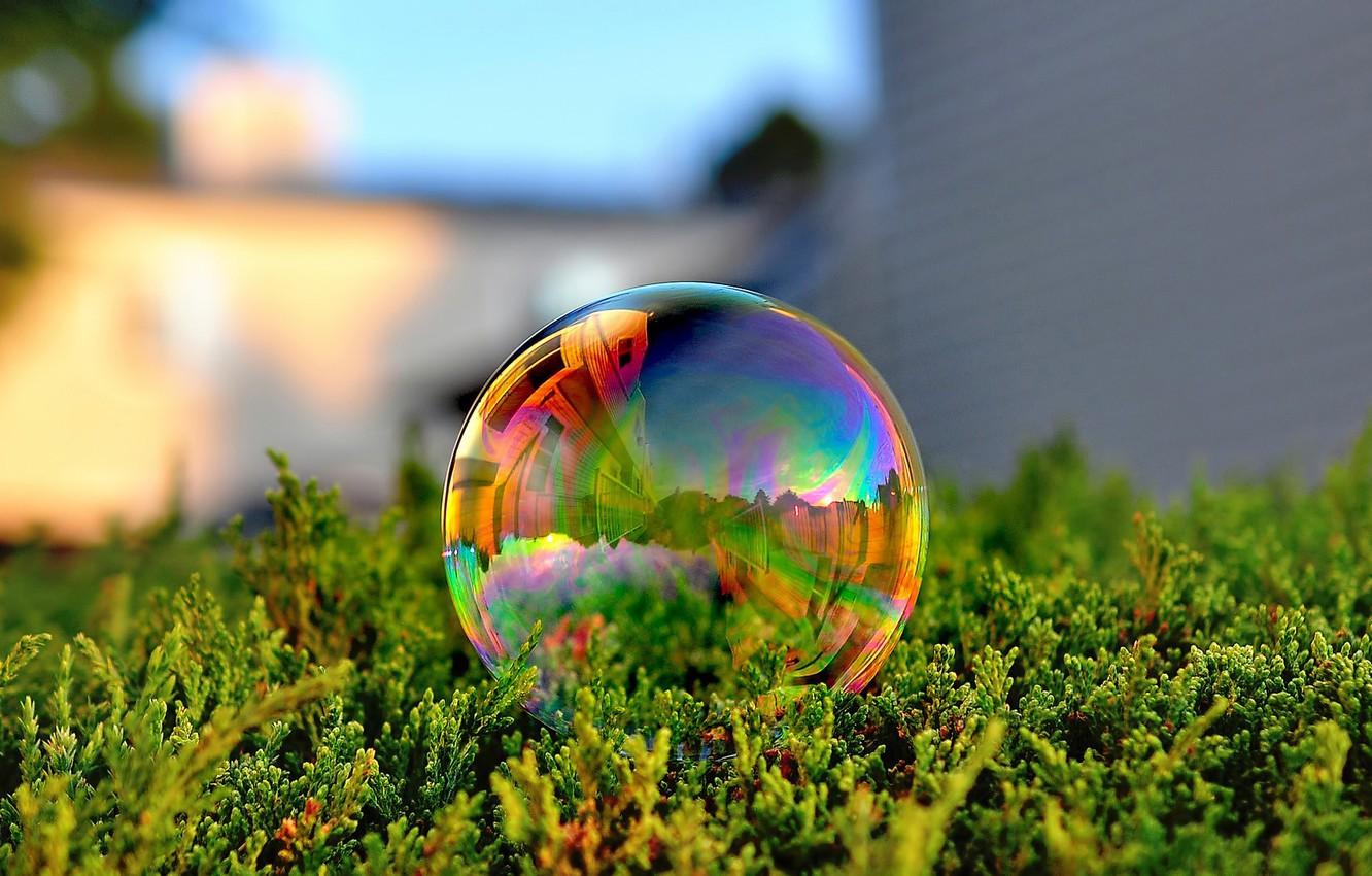 1332x850 Wallpaper green, grass, photo, macro, color, reflection, Bubble, soap bubble image for desktop, section макро