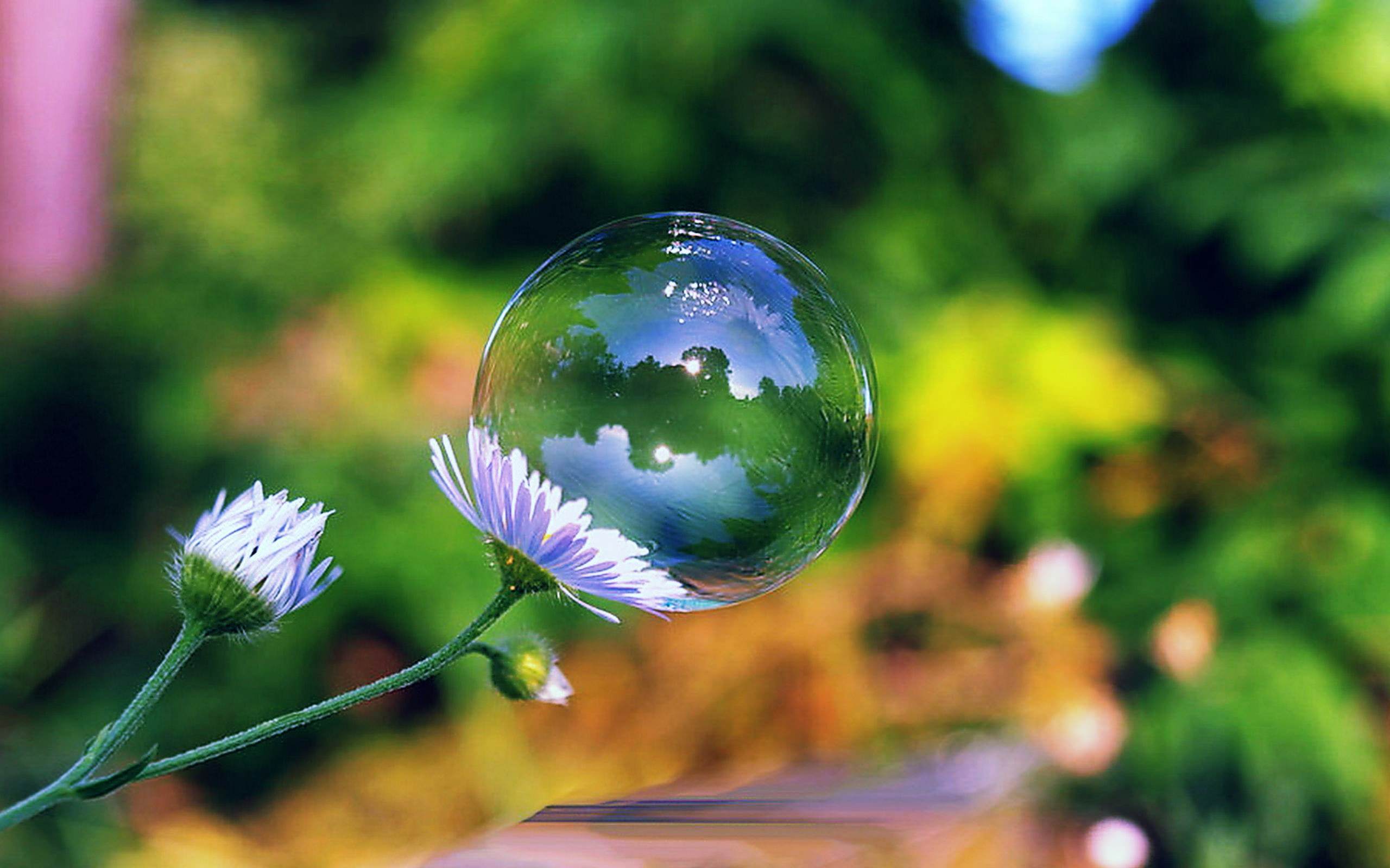 2560x1600 Bubble Wallpaper HD