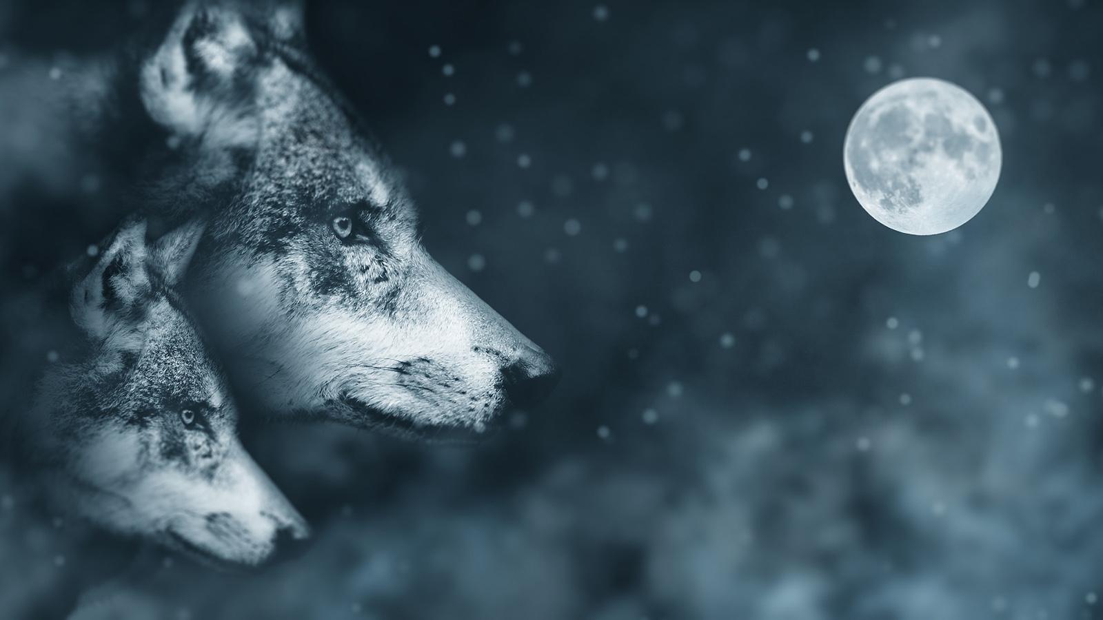 1600x900 Are Skinwalkers Real? Myth, Magic