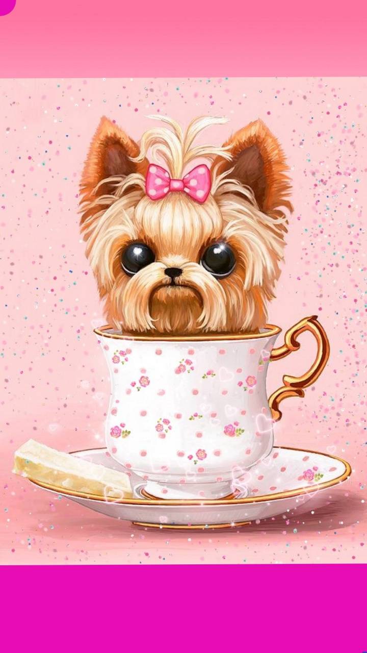 720x1280 Download Yorkie Dog Teacup Wallpaper HD By Glendalizz69. Wallpaper