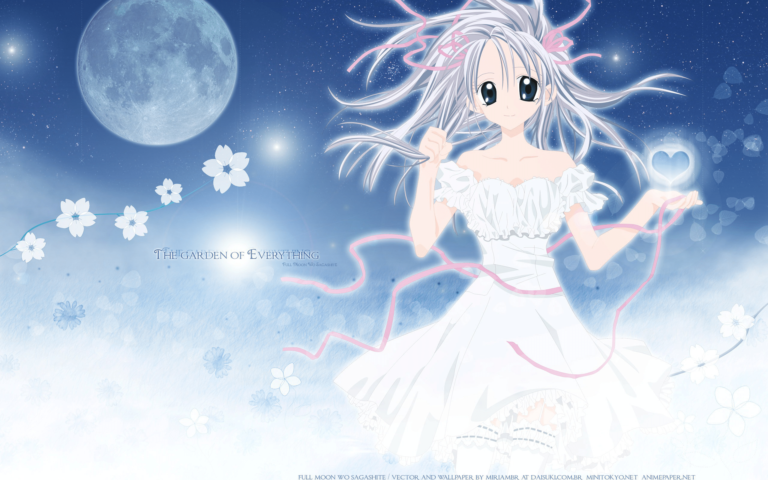 2560x1600 Anime Full Moon Wo Sagashite Wallpaper:2560x1600