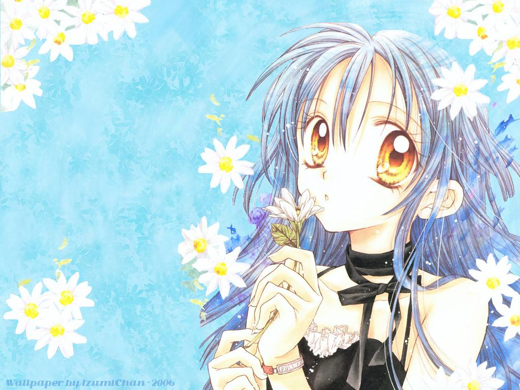 1024x768 Full Moon wo Sagashite Wallpaper: Daisys and the sea