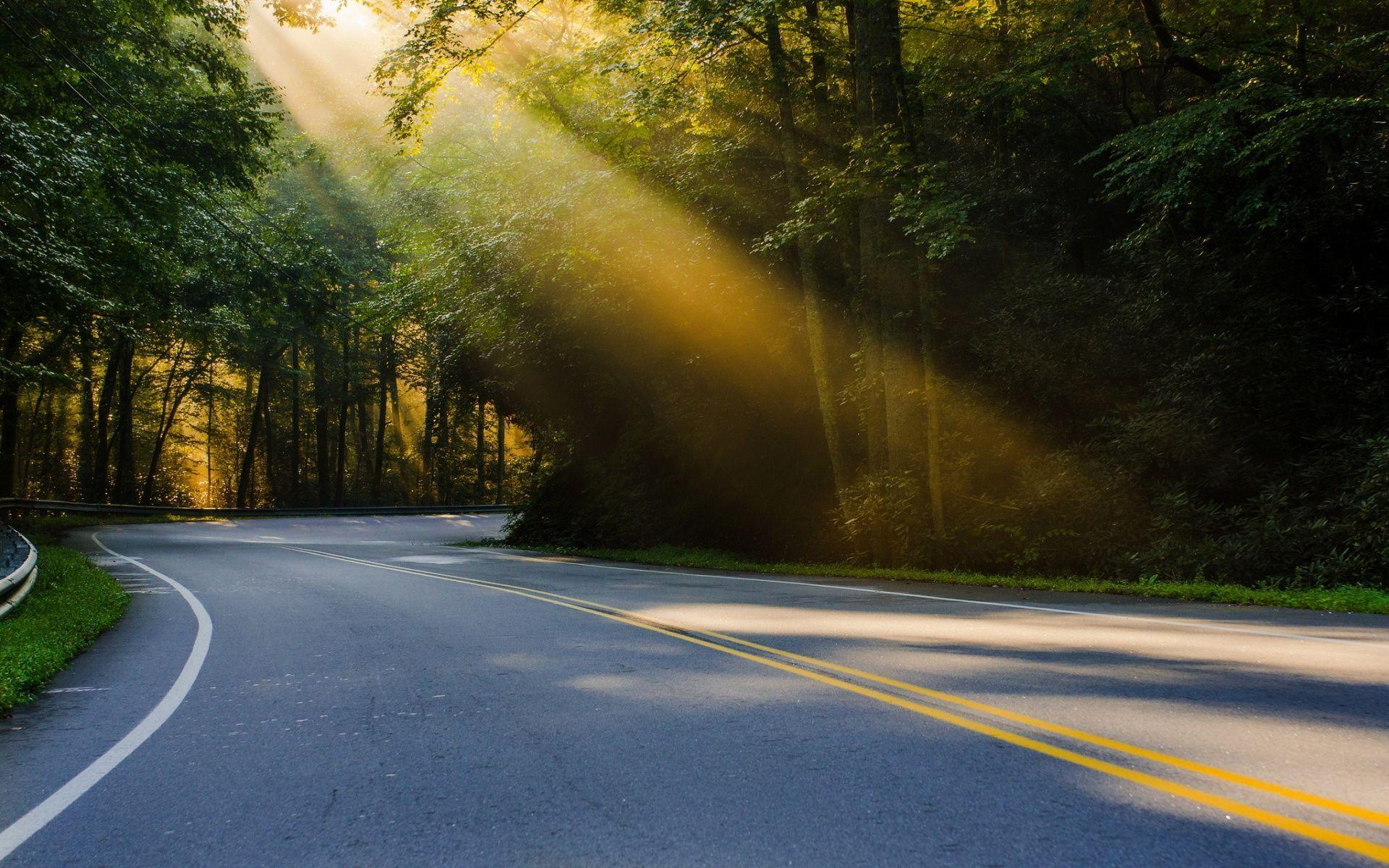 1920x1200 Beautiful Road Wallpaper