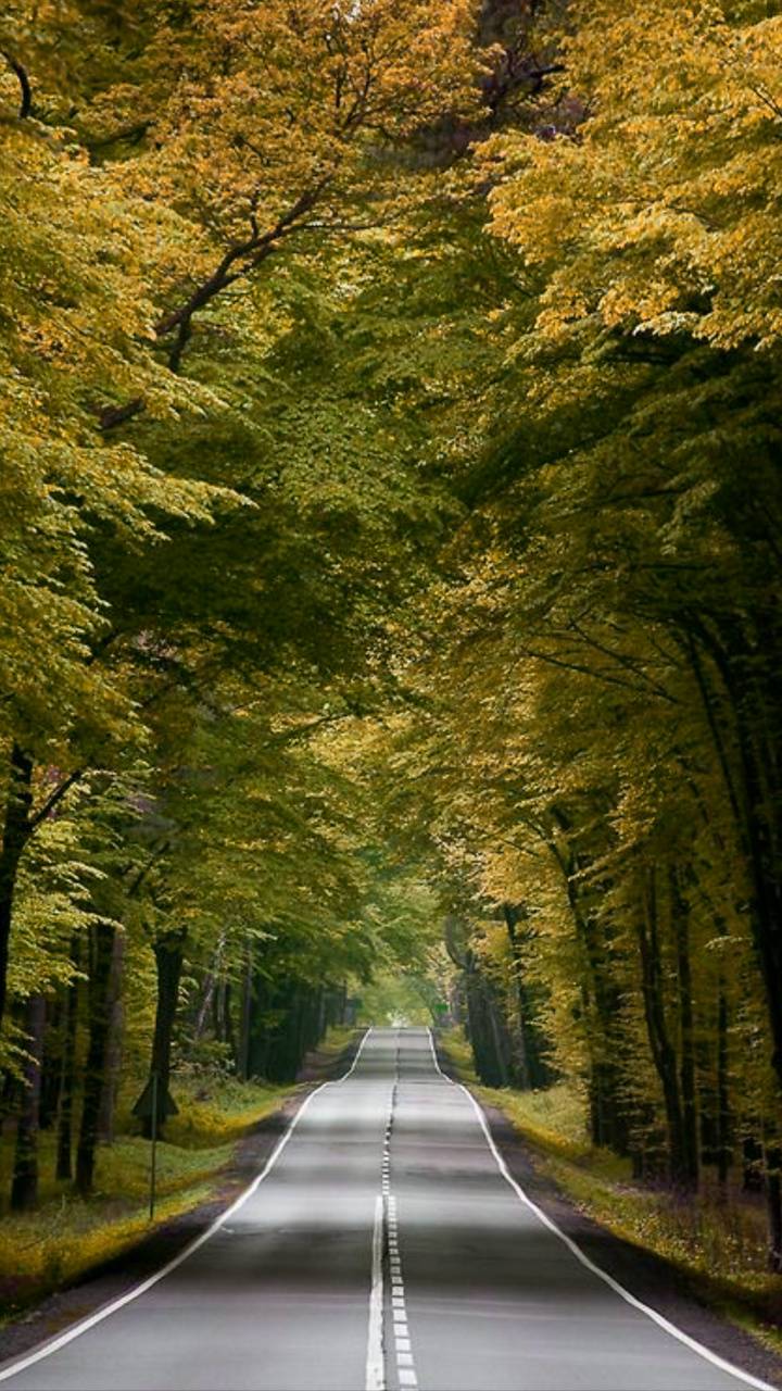 🔥 Nature Road Background Wallpaper HD Download | CBEditz